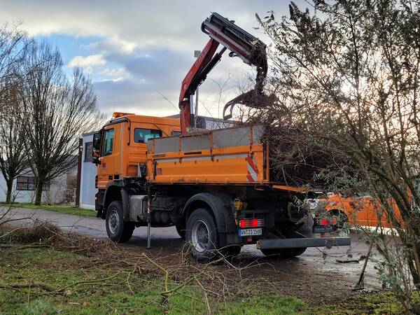 LKW Kran lädt Äste auf