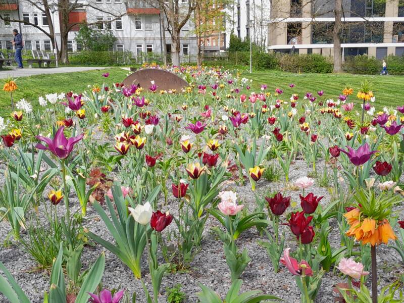 Staudenflächen im Stadtpark